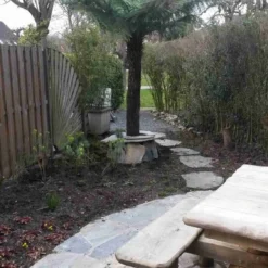 Grote Boomvaren (Dicksonia Antarctica) -Essentie Groen Verkoop dicksonia antartica 1