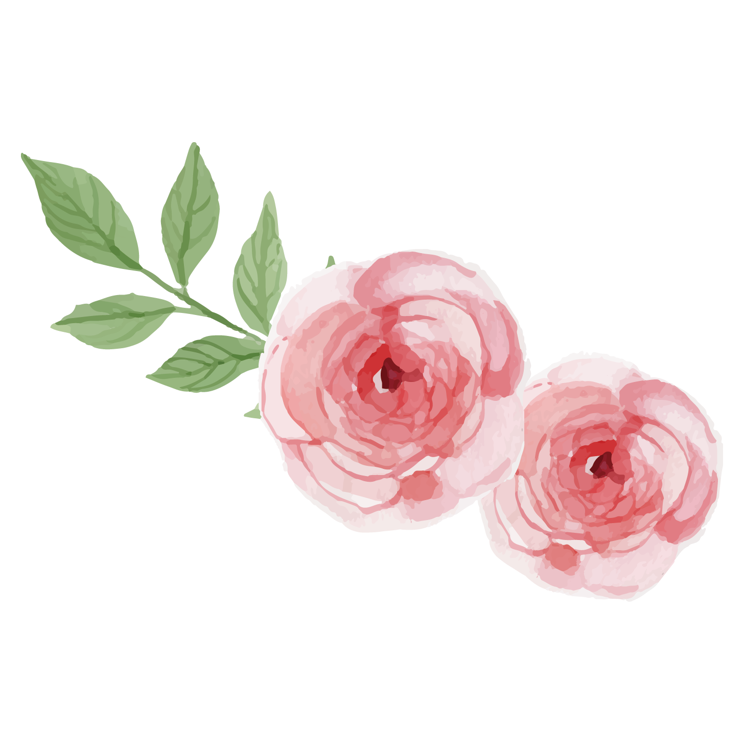 Essentie Groen Verkoop